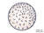 Ceramica Artystyczna 2332