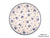 Ceramica Artystyczna 2550
